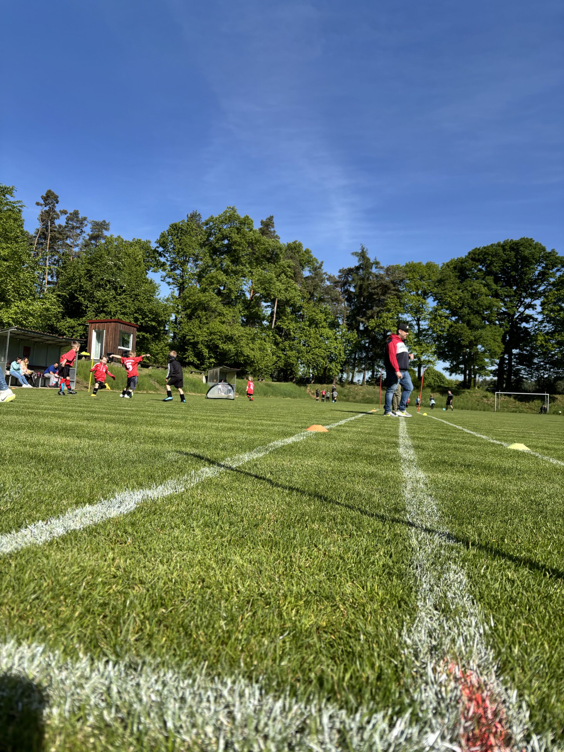 Großer Bambini-Spieltag — Fußballfreude pur im Waldstadion