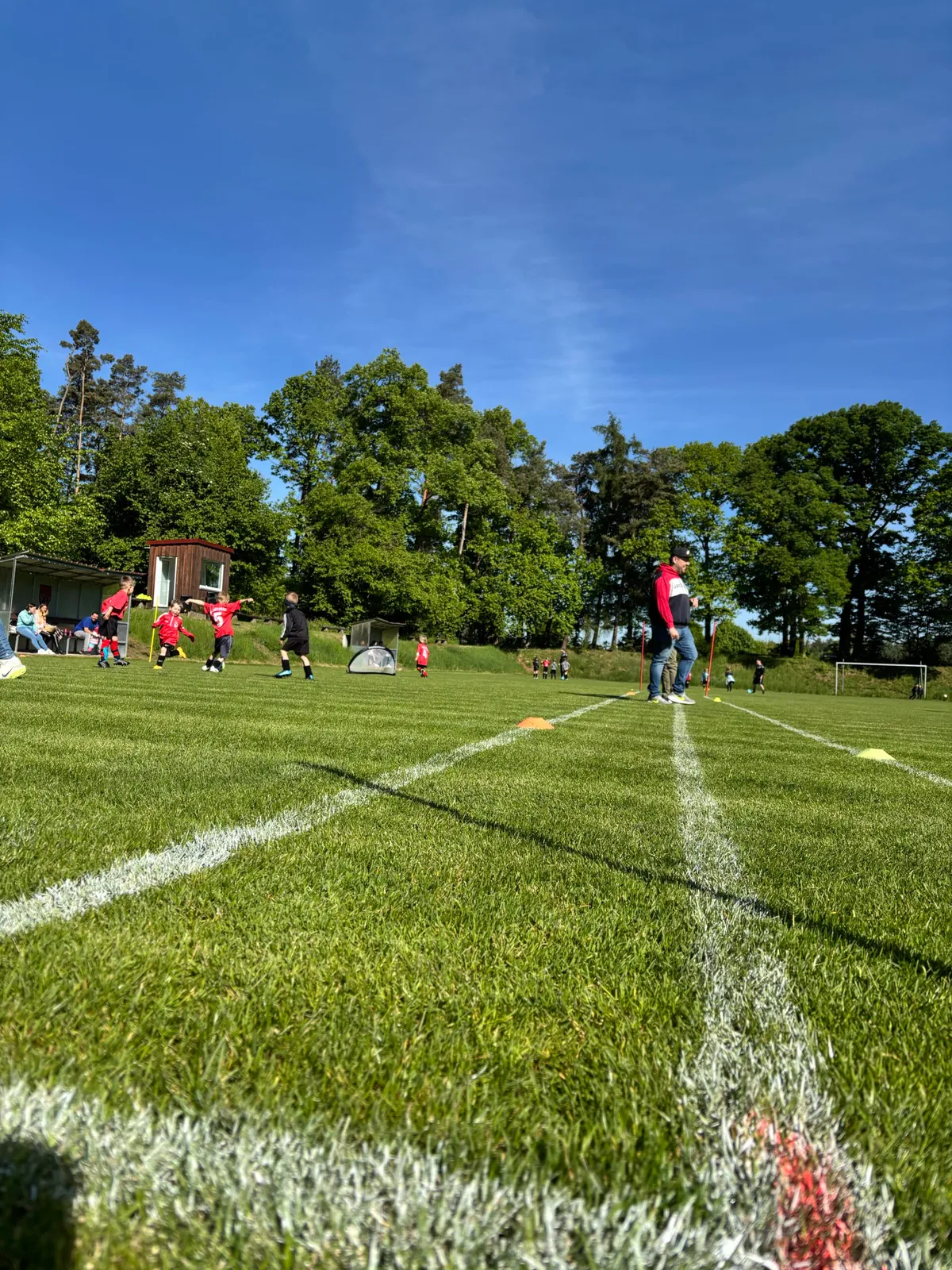 Großer Bambini-Spieltag — Fußballfreude pur im Waldstadion